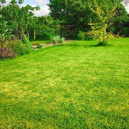 The Well Meadow B&B Nenagh Extérieur photo