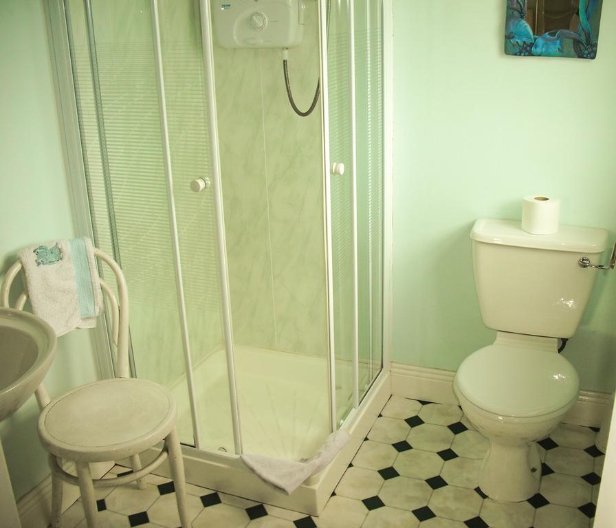 The Well Meadow B&B Nenagh Chambre photo