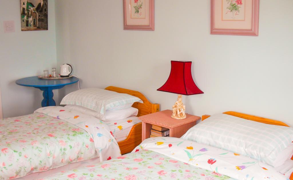 The Well Meadow B&B Nenagh Chambre photo