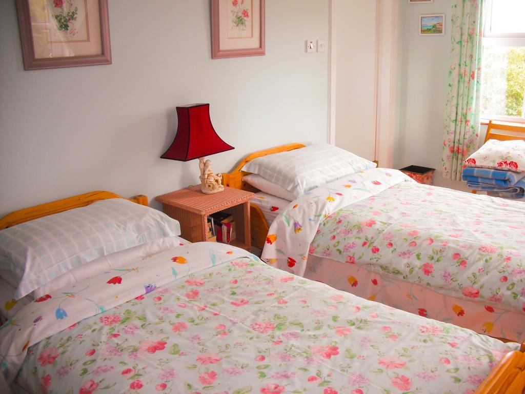 The Well Meadow B&B Nenagh Chambre photo