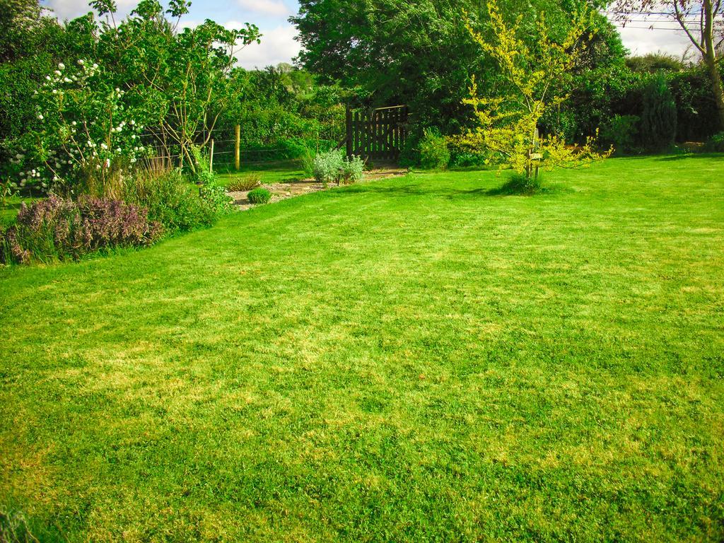 The Well Meadow B&B Nenagh Extérieur photo