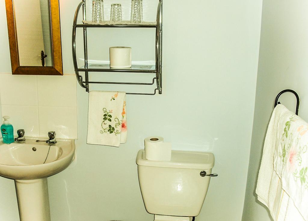 The Well Meadow B&B Nenagh Chambre photo