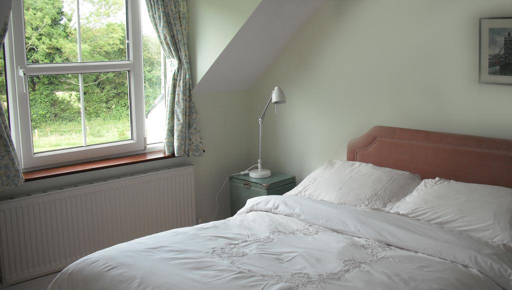 The Well Meadow B&B Nenagh Chambre photo