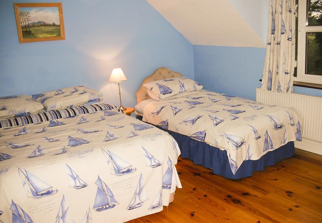 The Well Meadow B&B Nenagh Chambre photo