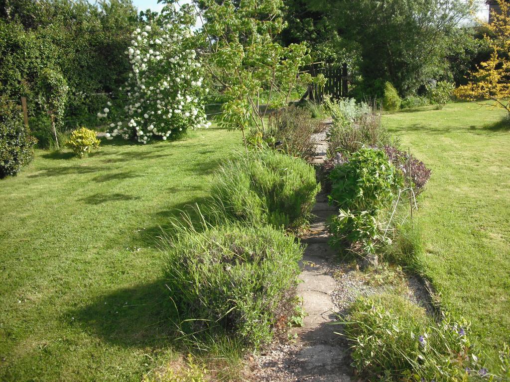 The Well Meadow B&B Nenagh Chambre photo
