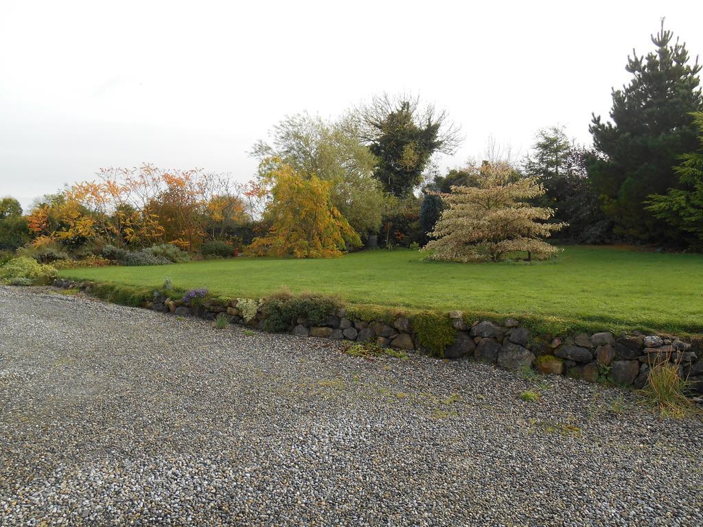 The Well Meadow B&B Nenagh Extérieur photo
